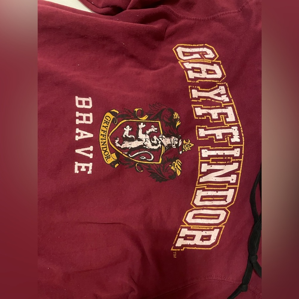 Harry Potter Gryffindor hoodie. EUC. Still has drawstrings.